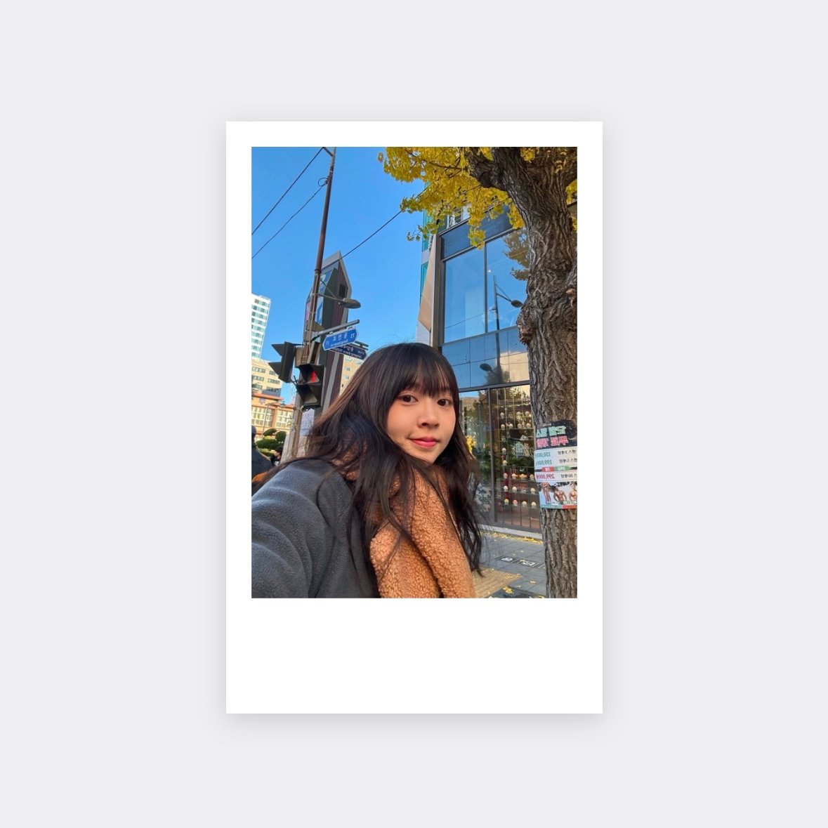 D. 彩色相片貼紙